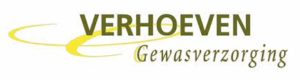 verhoeven
