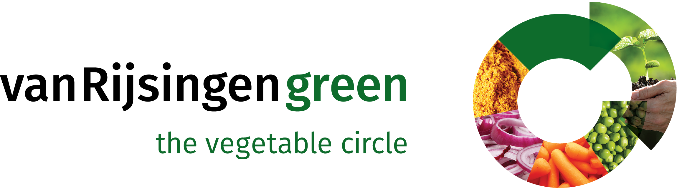 Logo 1